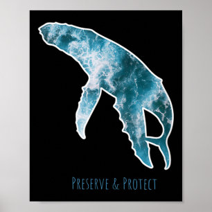 Naturschutzwale Umweltschutz Poster