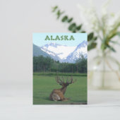 Naturschutzzentrum Alaska Postkarte (Stehend Vorderseite)