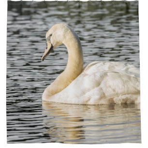 Naturschwanphotographie Duschvorhang