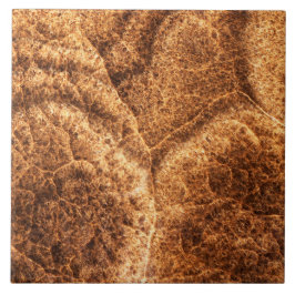 Natursteinmuster Fliese