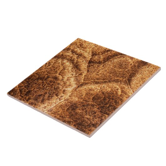 Natursteinmuster Fliese (Seite)