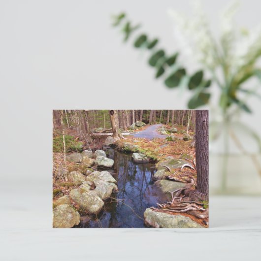 Naturstrom Postkarte (Stehend Vorderseite)