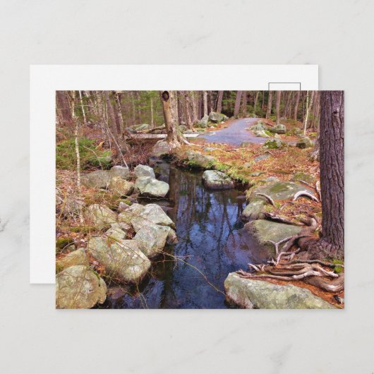 Naturstrom Postkarte (Vorne/Hinten)