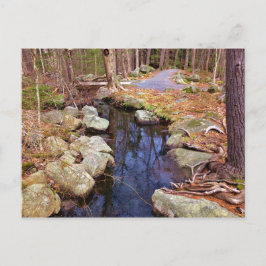 Naturstrom Postkarte