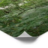 Natursumpf Poster (Ecke)