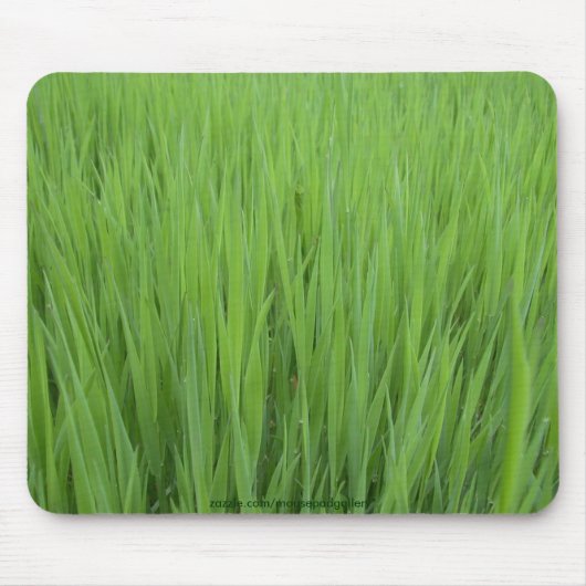 NATURTEXTURES-Mousepad-Sammlung Mousepad (Vorne)
