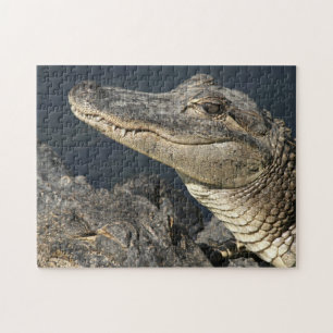 Naturthema Live Alligators Puzzles für Erwachsene