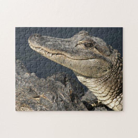 Naturthema Live Alligators Puzzles für Erwachsene (Horizontal)