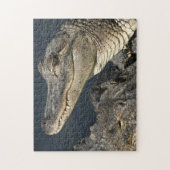 Naturthema Live Alligators Puzzles für Erwachsene (Vertikal)