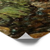 Naturtherapie-Ennekings ruhiger Forellensee Poster (Ecke)