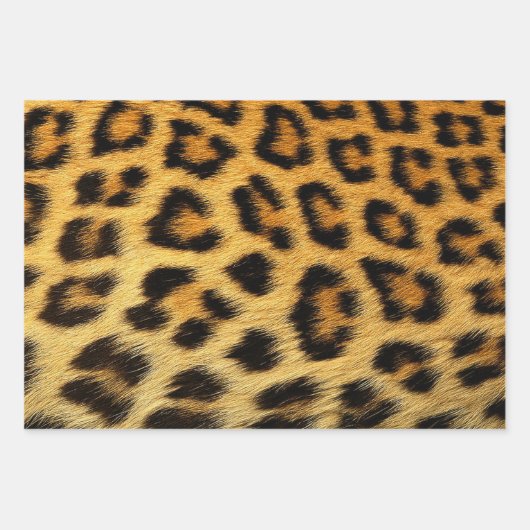 Naturtiere Giraffe Python Snake Leopard Skins Geschenkpapier Set (Vorderseite 2)