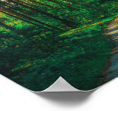 Naturwald Birch Bäume Landschaftsstraße Poster (Ecke)