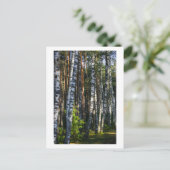 Naturwald Birken Bäume Grüne Landschaft Postkarte (Stehend Vorderseite)