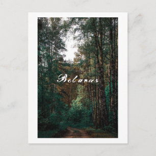 Naturwald Birkenbaum Landschaft Weißrussland Postkarte