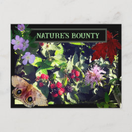 Naturwald Bounty Wild Berries Postkarte