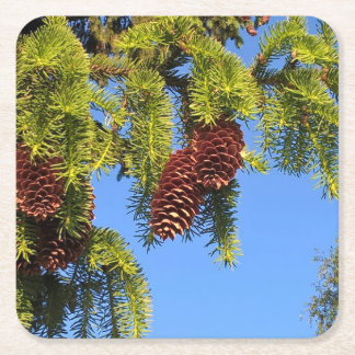 NaturwaldFoto-Untersetzer mit Niederlassung Rechteckiger Pappuntersetzer