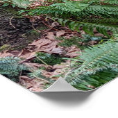 Naturwaldpfad fotografisch erforschen poster (Ecke)