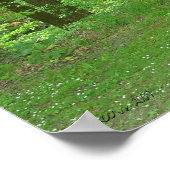 Naturwanderung Poster (Ecke)