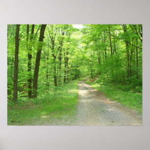 Naturwanderung Poster