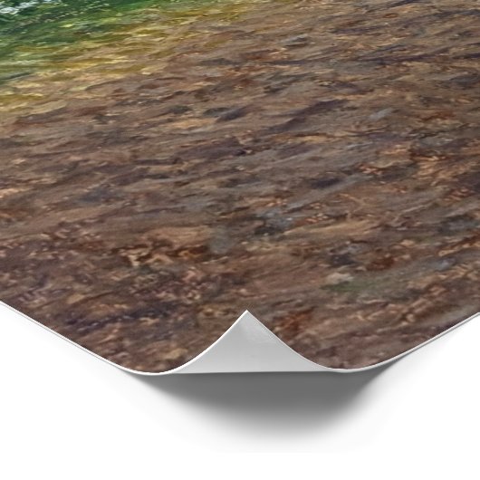 Naturwanderung Poster (Ecke)