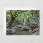 Naturwanderung Postkarte (Vorne/Hinten)