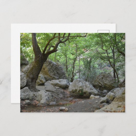 Naturwanderung Postkarte (Vorne/Hinten)