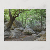 Naturwanderung Postkarte (Vorderseite)