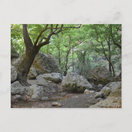 Naturwanderung Postkarte (Vorderseite)