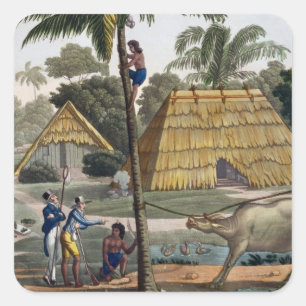 Naturwissenschaftlerfrageneingeborene nähern sich quadratischer aufkleber