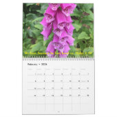Naturwunder inspirierender Kalender (Feb 2026)