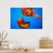 Naturwunder Poster (Küche)