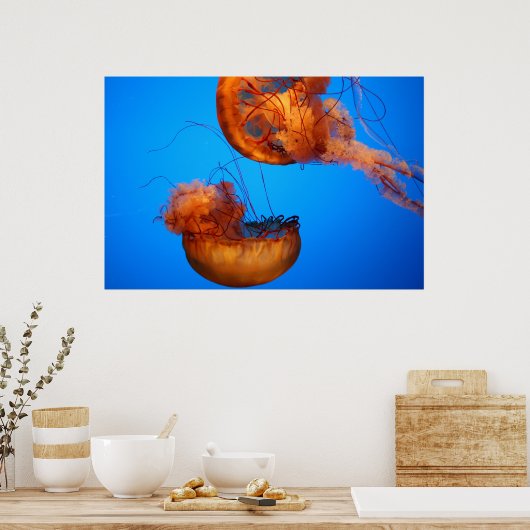 Naturwunder Poster (Küche)