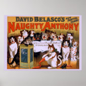 Naughty Anthony - Theater Poster (Vorne)