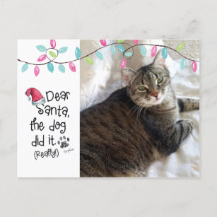 drei Freunde Postkarte niedliche Katzen quadratisch 