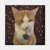 Naughty Cat Magnet (Vorne)