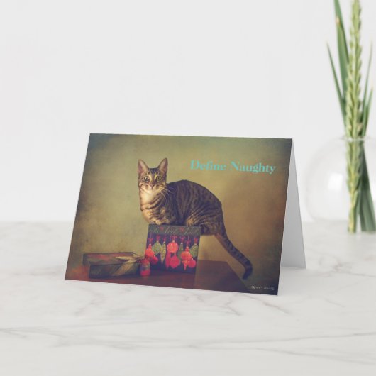 Naughty Cat Weihnachtskarte Feiertagskarte (Vorderseite)