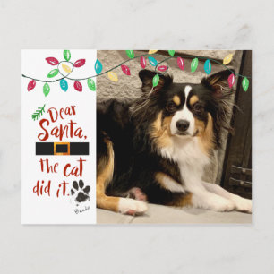 Naughty Dog Lustiger Lieber-Santa-Brief Foto Hunde Feiertagspostkarte