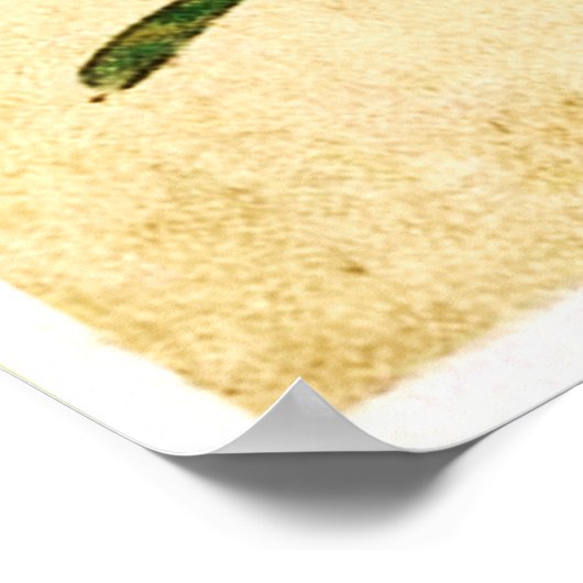 Naughty Frogs Poster (Ecke)