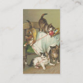 Naughty Kitts Visitenkarte (Rückseite)