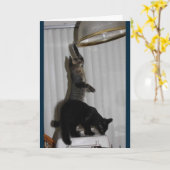 Naughty Kitty Birthday Card Karte (Gelbe Blume)