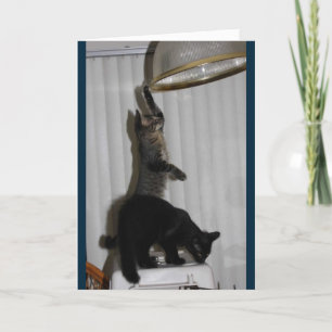 Naughty Kitty Birthday Card Karte