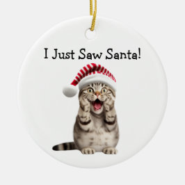 Naughty Kitty Christmas Spaß Cat Ornament