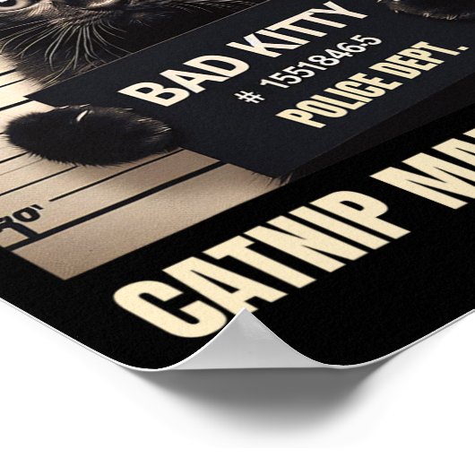 Naughty Kitty Jail Foto Catnip ließ mich es tun Poster (Ecke)