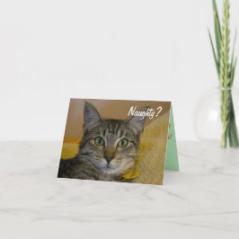 Naughty oder Nice Cat Card Feiertagskarte