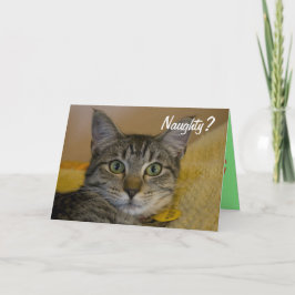 Naughty oder Nice Cat Card Feiertagskarte