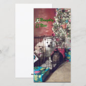 Naughty oder Nice Feiertagskarte (Vorne/Hinten)