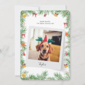 Naughty oder Nice Funny Dog Foto Weihnachten (Vorderseite)