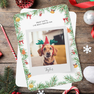 Naughty oder Nice Funny Dog Foto Weihnachten