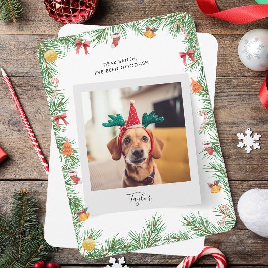 Naughty oder Nice Funny Dog Foto Weihnachten