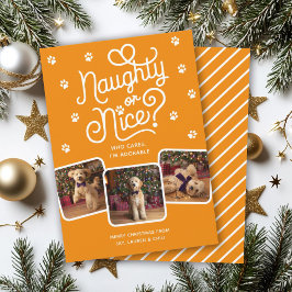 Naughty oder Nice Funny Niedlich Pet Hund Katze 3 Feiertagskarte